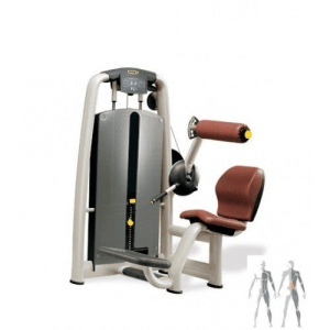 Розгинання спини TECHNOGYM M958 LOWER BACK (Реставрований)