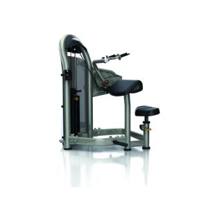 MATRIX G3 G3-S45 Maszyna na triceps (Triceps Extension)