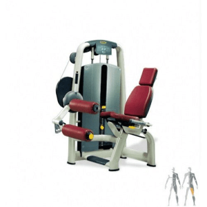 Згинання ніг TECHNOGYM M990 LEG CURL (Реставрований)