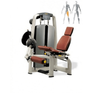 Розгинання ніг TECHNOGYM M991 LEG EXTENSION (Реставрований)