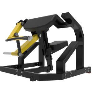 BICEPS TA series( Plate Loaded)